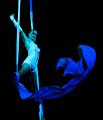 Circus Barelli   011